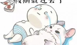 躺着吃免费的瓜