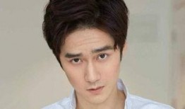 蒋劲夫律师最新爆料,揭秘事件背后惊人真相