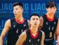 徐亮爆料辽宁队视频回放,视频回放揭示关键瞬间