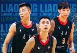 徐亮爆料辽宁队视频回放,视频回放揭示关键瞬间
