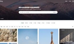 爆料的有趣视频素材网站