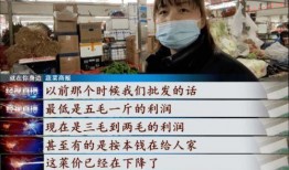 武汉菜价爆料视频播放,视频揭秘市场动态