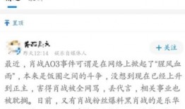 娱乐黑爆料,黑料背后的真相与反思