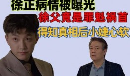 徐罪在线观看,揭秘古代奇案，探寻正义之光